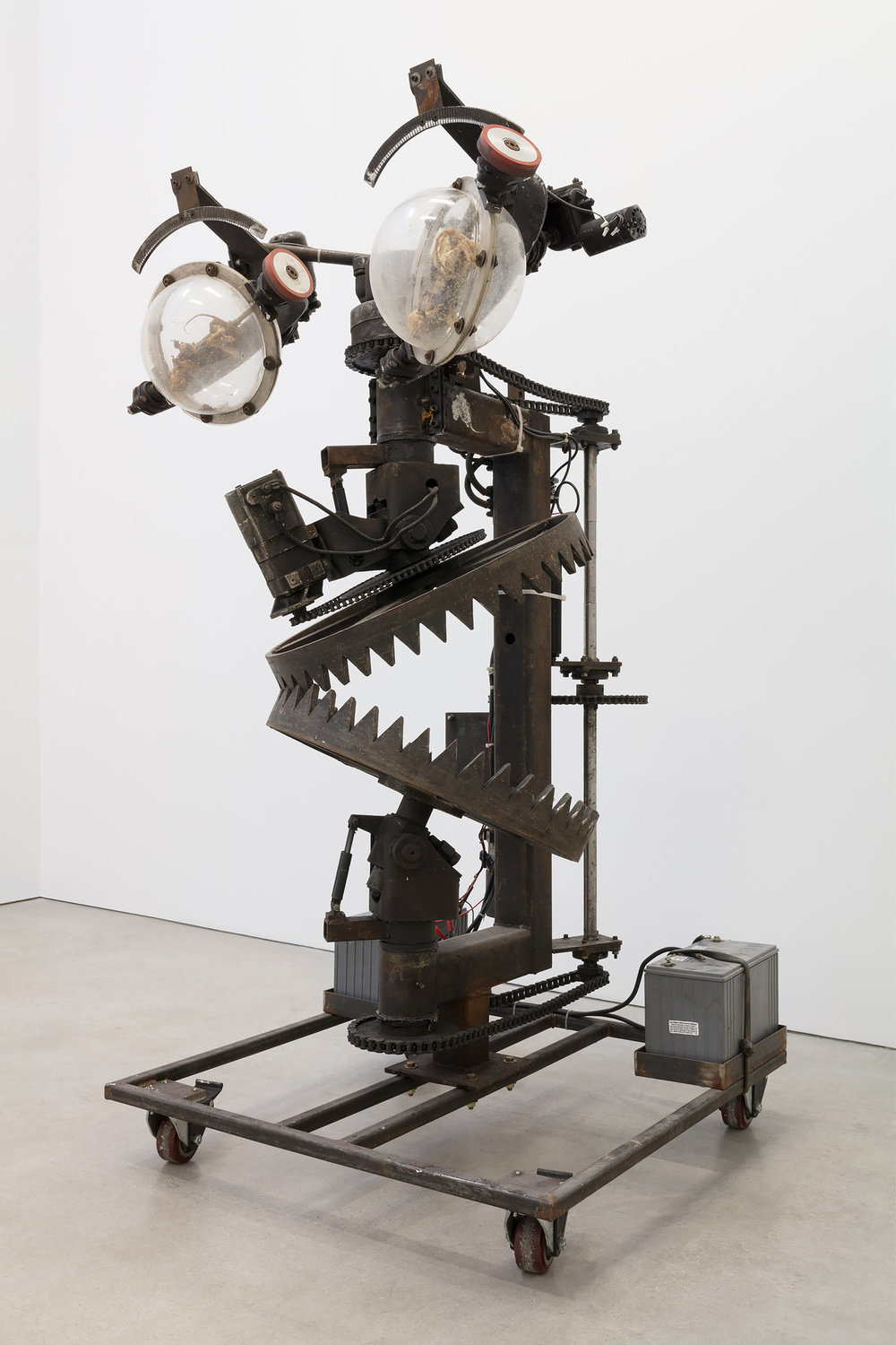 Srl, rotary jaws with squirrel eyes, 1987, steel, electronics, plexi glass, squirrels, 80 x 41 x 40 in., 203.2 x 104.1 x 101.6 cm, cnon 59.729 pierre le hors