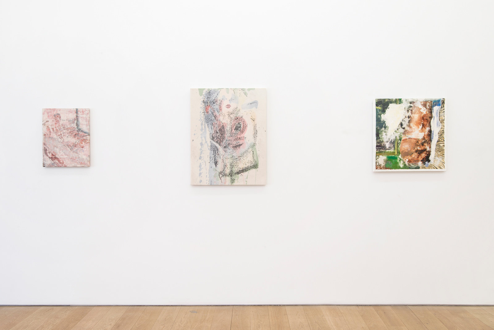 Ajemian laundered paintings, 2014, installation view 4